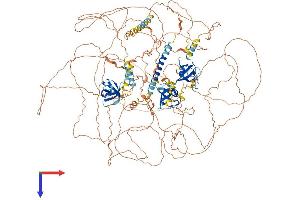 SORBS1 Protein (AA 1-1292) (His tag)