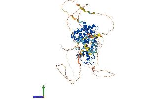 Protein Structure (PS) image for Nuclear Receptor Subfamily 1, Group D, Member 1 (NR1D1) (AA 1-615) protein (His tag) (ABIN7563756)