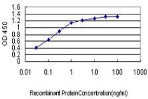 Detection limit for recombinant GST tagged JPH1 is approximately 0. (Junctophilin 1 Antikörper  (AA 501-579))