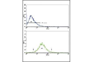Flow cytometric analysis of HepG2 cells using MMP3 Antibody (bottom histogram) compared to a negative control cell (top histogram). (MMP3 Antikörper  (AA 298-327))