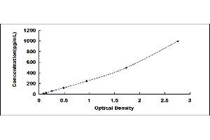 ELISA image for Vascular Endothelial Growth Factor A (VEGFA) ELISA Kit (ABIN4948125)