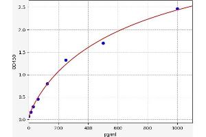 Typical standard curve (Keratin 10 ELISA Kit)