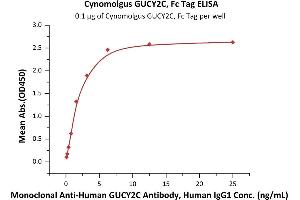 ELISA image for Guanylate Cyclase 2C (Heat Stable Enterotoxin Receptor) (GUCY2C) (AA 24-430) (Active) protein (Fc Tag) (ABIN7013473)