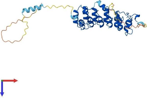 NFKBIA Protein (AA 1-317) (His tag)