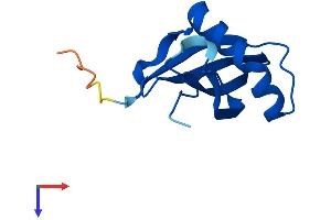 AlphaFold protein structure predicition of Mouse Recombinant Stfa3 Protein, UniprotID P35173
