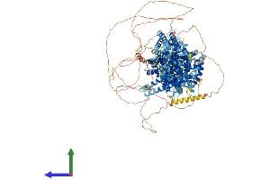 AlphaFold protein structure predicition of Human Recombinant THOC2 Protein, UniprotID Q8NI27
