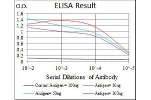 ELISA image for anti-Integrin beta 1 (ITGB1) antibody (ABIN1844059) (ITGB1 Antikörper)