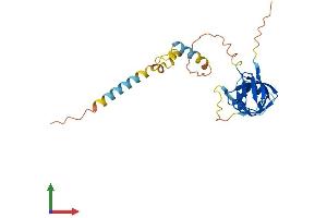 Protein Structure (PS) image for Nuclear Receptor Interacting Protein 3 (NRIP3) (AA 1-240) protein (His tag) (ABIN7561602)