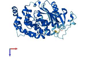 AMZ2 Protein (AA 1-359) (His tag)