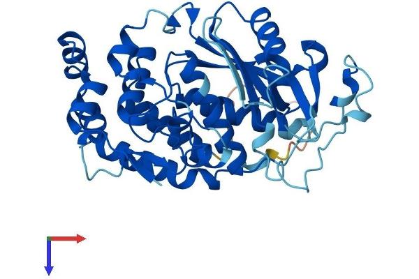 AMZ2 Protein (AA 1-359) (His tag)