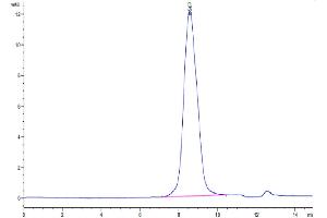 Size-exclusion chromatography-High Pressure Liquid Chromatography (SEC-HPLC) image for Notch 3 (NOTCH3) (AA 40-467) protein (Fc Tag) (ABIN7275362)