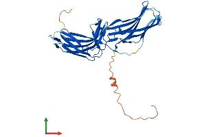 Protein Structure (PS) image for Vacuolar Protein Sorting 26 Homolog B (VPS26B) (AA 1-336) protein (His tag) (ABIN7556006)