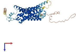 NMUR2 Protein (AA 1-395) (His tag)