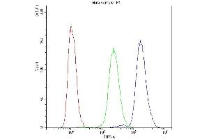 Flow Cytometry analysis of SiHa cells using anti-NFAT4 antibody (ABIN5519045).