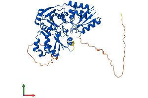 Protein Structure (PS) image for DPH1 Homolog (DPH1) (AA 1-438) protein (His tag) (ABIN7557483)
