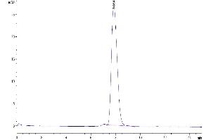 The purity of Human CD83 is greater than 95 % as determined by SEC-HPLC. (CD83 Protein (CD83) (AA 20-143) (Fc Tag))