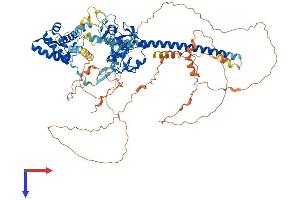 PHF17 Protein (AA 1-842) (His tag)