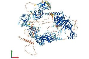 Protein Structure (PS) image for Ubiquitin Specific Peptidase 47 (USP47) (AA 1-1375) protein (His tag) (ABIN7555954)