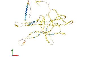 AlphaFold protein structure predicition of Mouse Recombinant Col25a1 Protein, UniprotID Q99MQ5