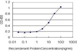Detection limit for recombinant GST tagged MYO3A is approximately 1ng/ml as a capture antibody. (MYO3A Antikörper  (AA 1400-1490))
