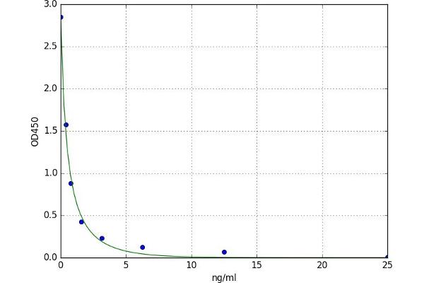 Orexin B ELISA Kit