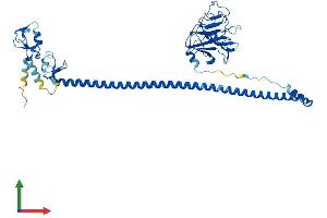 Protein Structure (PS) image for Tripartite Motif Containing 21 (TRIM21) (AA 1-470) protein (His tag) (ABIN7563950)
