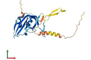 AlphaFold protein structure predicition of Mouse Recombinant Arpin Protein, UniprotID Q9D0A3 (ARPIN Protein (AA 1-226) (His tag))