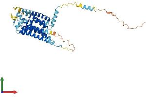 Protein Structure (PS) image for G Protein-Coupled Receptor 62 (GPR62) (AA 1-358) protein (His tag) (ABIN7558327)