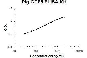 Pig GDF5 PicoKine ELISA Kit standard curve (GDF5 ELISA Kit)