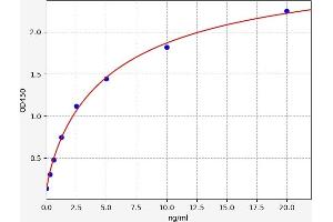 CDK5 ELISA Kit