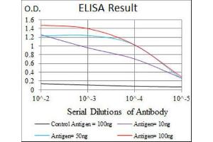 ELISA image for anti-delta-Like 4 (DLL4) antibody (ABIN1846319) (DLL4 Antikörper)