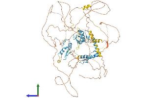 Protein Structure (PS) image for B-Cell CLL/lymphoma 11A (Zinc Finger Protein) (BCL11A) (AA 1-835) protein (His tag) (ABIN7552729)
