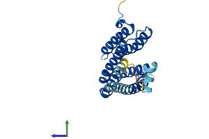 AlphaFold protein structure predicition of Mouse Recombinant Cdipt Protein, UniprotID Q8VDP6