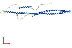 AlphaFold protein structure predicition of Mouse Recombinant Ccdc68 Protein, UniprotID Q8BVC4