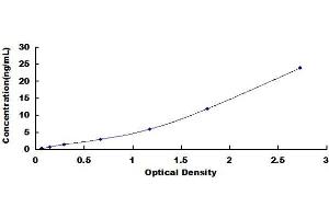 Typical Standard Curve (HLAG ELISA Kit)