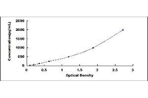 Typical standard curve (SNCG ELISA Kit)