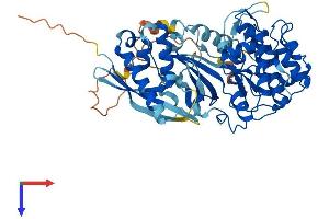 SGK3 Protein (AA 1-496) (His tag)