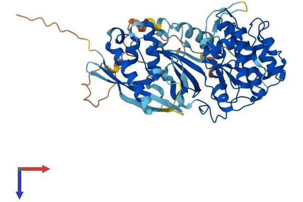 SGK3 Protein (AA 1-496) (His tag)