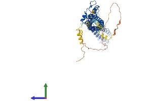 Protein Structure (PS) image for Tweety Homolog 2 (TTYH2) (AA 1-534) protein (His tag) (ABIN7544909)