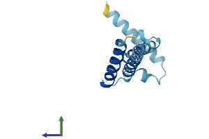 Protein Structure (PS) image for Brain Protein 44 (BRP44) (AA 1-127) protein (His tag) (ABIN7560811)