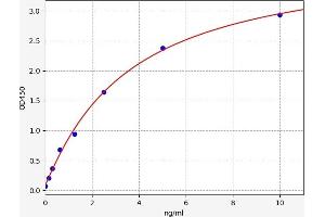 Typical standard curve (MAP28 Protein ELISA Kit)