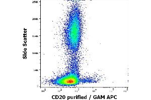 Flow cytometry surface staining pattern of human peripheral whole blood stained using anti-human CD20 (MEM-97) purified antibody (concentration in sample 1. (CD20 Antikörper)