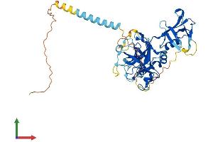 Protein Structure (PS) image for Transmembrane Protease, serine 5 (TMPRSS5) (AA 1-455) protein (His tag) (ABIN7561416)