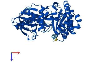 GALK1 Protein (AA 1-392) (His tag)