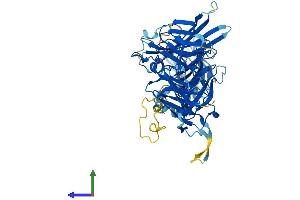 AlphaFold protein structure predicition of Mouse Recombinant Nudcd1 Protein, UniprotID Q6PIP5