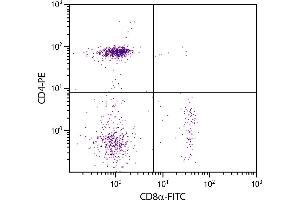 Chicken peripheral blood lymphocytes were stained with Mouse Anti-Chicken CD8α-FITC. (CD8 alpha Antikörper  (FITC))