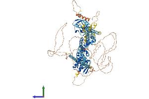 AlphaFold protein structure predicition of Human Recombinant KCNH8 Protein, UniprotID Q96L42