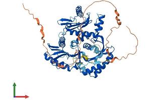 Protein Structure (PS) image for MON1 Homolog B (MON1B) (AA 1-547) protein (His tag) (ABIN7549425)