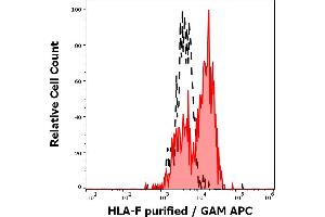 Separation of human activated lymphocytes stained using anti-human HLA-F (3D11) purified antibody (concentration in sample 5 μg/mL, GAM APC, red-filled) from human activated lymphocytes unstained by primary antibody (GAM APC, black-dashed) in flow cytometry analysis (surface staining) of human PMA + Ionomycin stimulated peripheral blood mononuclear cells. (HLA-F Antikörper)