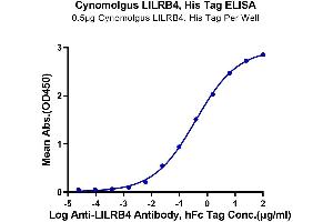Immobilized Cynomolgus LILRB4, His Tag at 5 μg/mL (100 μL/well) on the plate. (LILRB4 Protein (AA 22-259) (His tag))